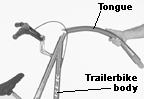 Folding tongue