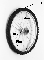 Wheel